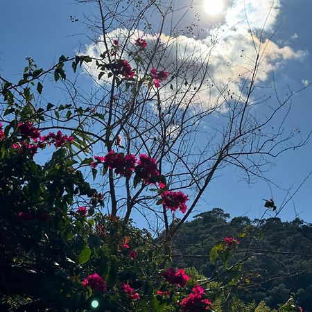 Hotel Yavuz Bungalow ชิลารึ ภายนอก รูปภาพ