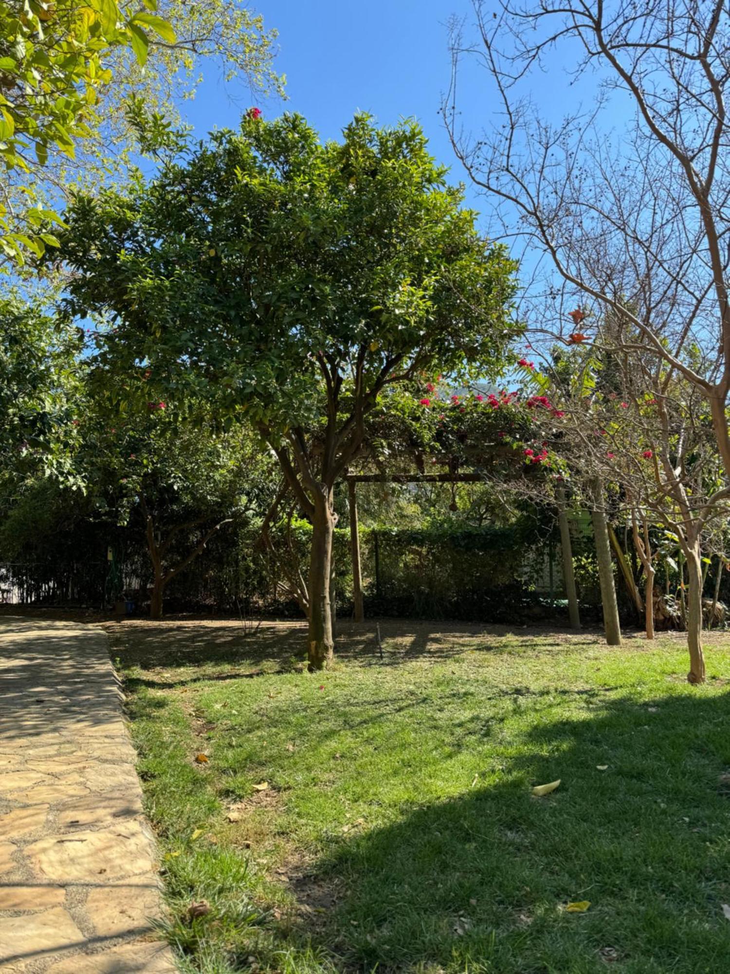 Hotel Yavuz Bungalow ชิลารึ ภายนอก รูปภาพ